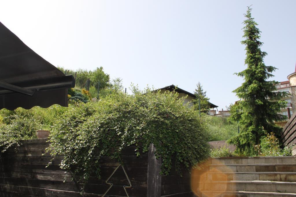 The Stone Villa Beli Iskar Bagian luar foto